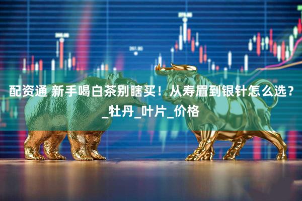 配资通 新手喝白茶别瞎买！从寿眉到银针怎么选？_牡丹_叶片_价格