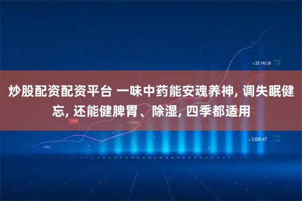炒股配资配资平台 一味中药能安魂养神, 调失眠健忘, 还能健脾胃、除湿, 四季都适用