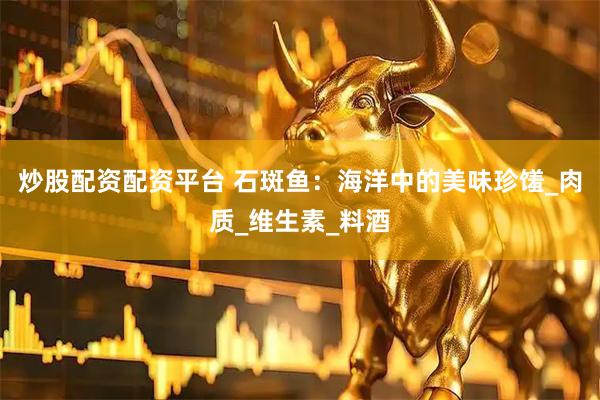 炒股配资配资平台 石斑鱼：海洋中的美味珍馐_肉质_维生素_料酒